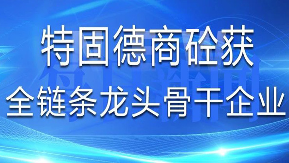 祝賀特固德商砼獲評山東省建筑業第一批“全鏈條龍頭骨干企業”